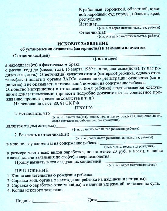 Иск об установлении факта отцовства. Заявление об установлении отцовства иск. Как подать иск на установление отцовства.